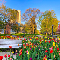 Benefits of City Chamber membership for Parks and Outdoors Parks and Outdoors businesses benefit from City Chamber of Commerce membership